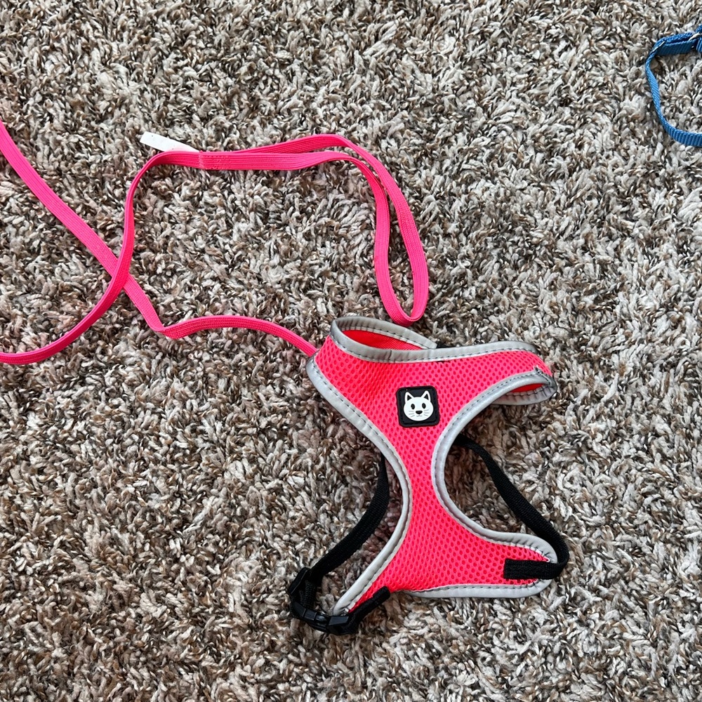 Pink Cat Leash/Harness